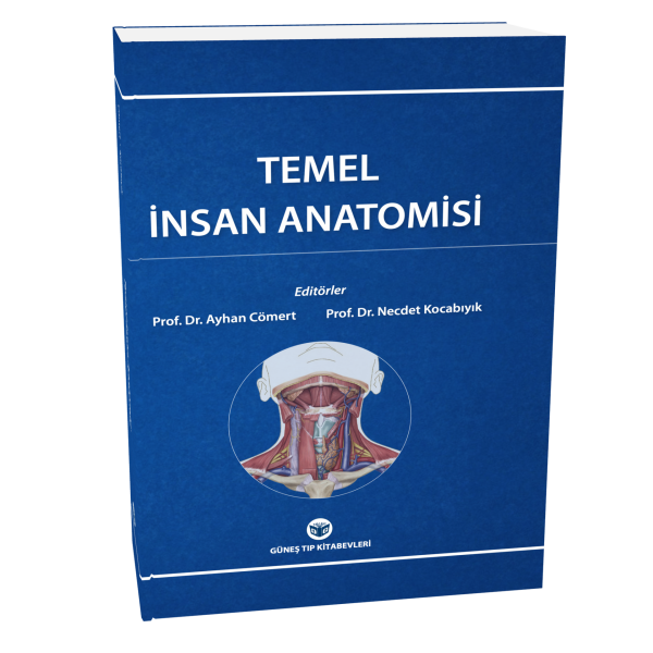 Temel İnsan Anatomisi
