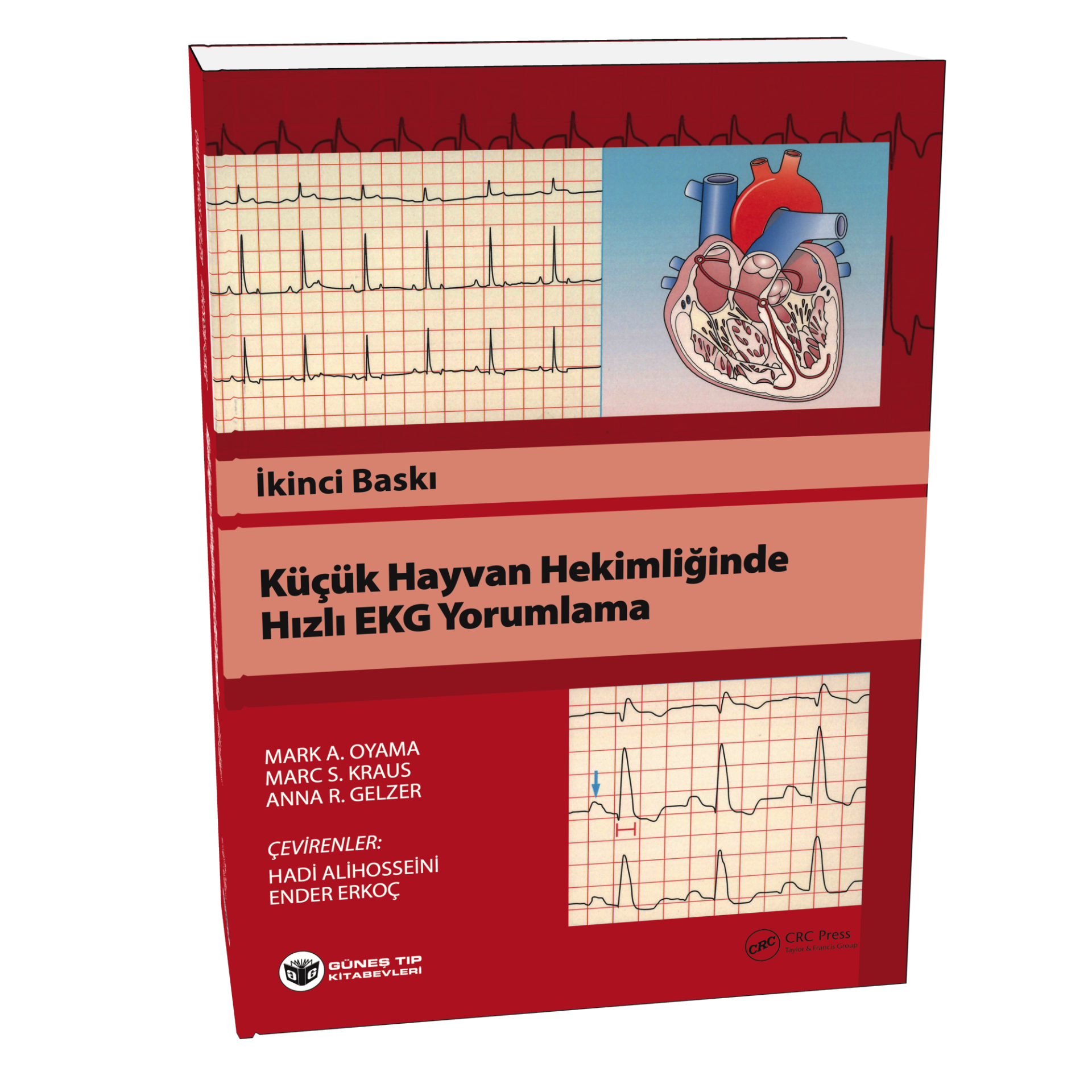 Küçük Hayvan Hekimliğinde Hızlı EKG Yorumlama