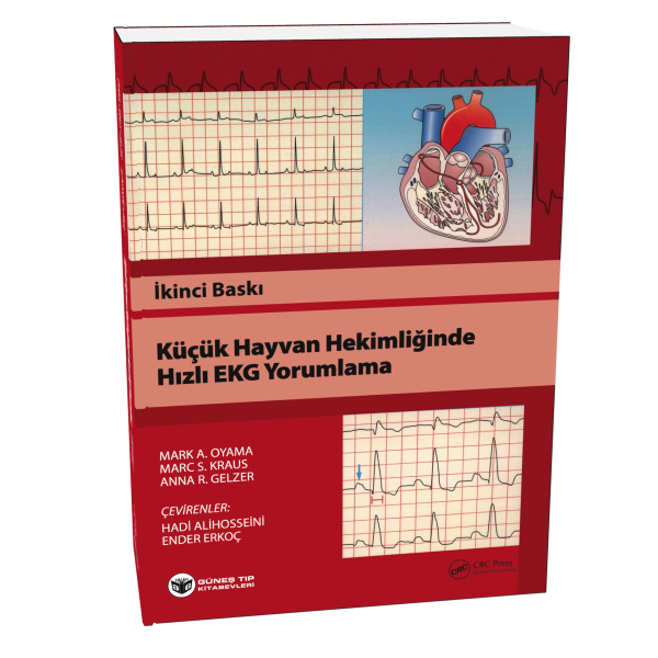 Küçük Hayvan Hekimliğinde Hızlı EKG Yorumlama