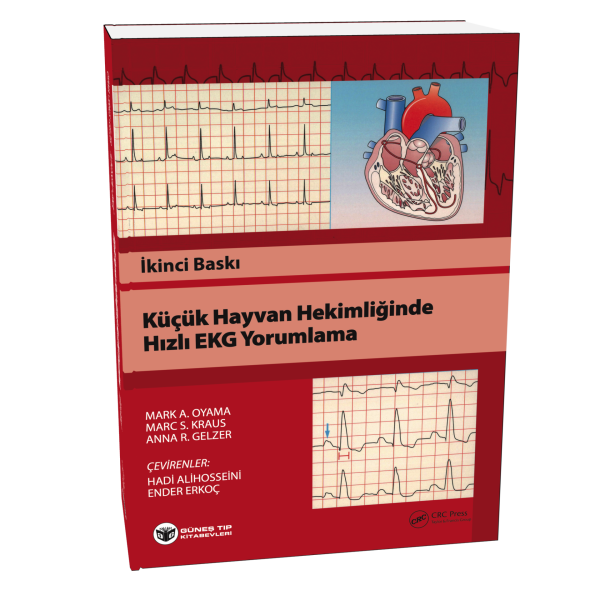 Küçük Hayvan Hekimliğinde Hızlı EKG Yorumlama
