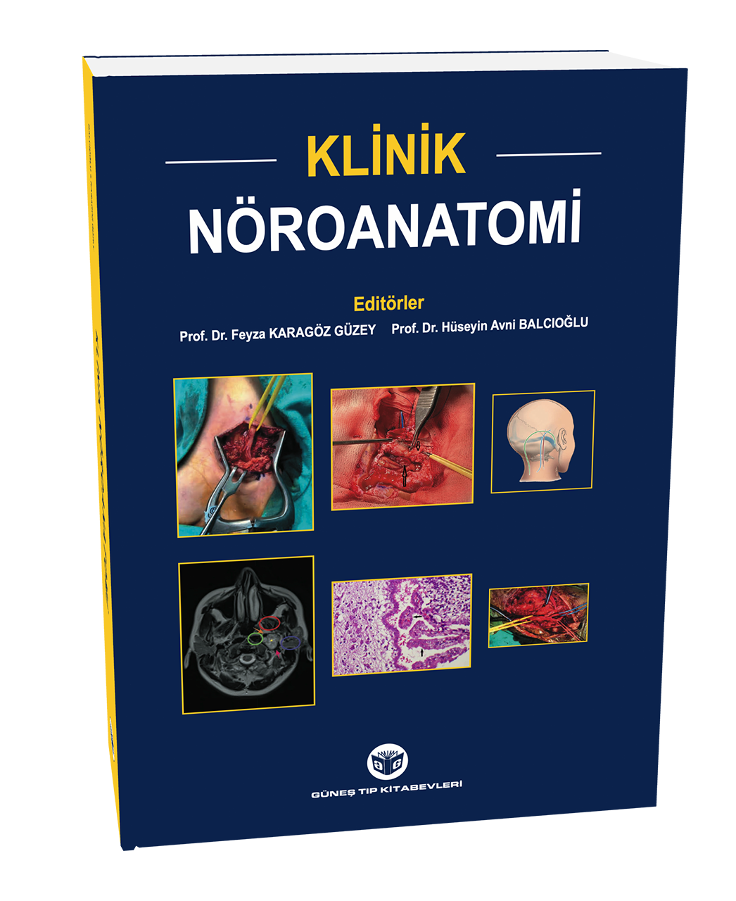 Klinik Nöroanatomi