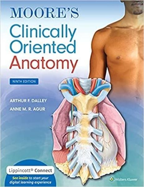 Moore's Clinically Oriented Anatomy, ninhth edition, International Edition