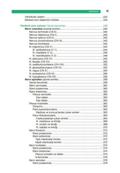 Resimli Anatomi Sözlüğü