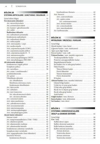 Çekirdek Eğitim Programı Çerçevesinde Temel İnsan Anatomisi 2.Baskı
