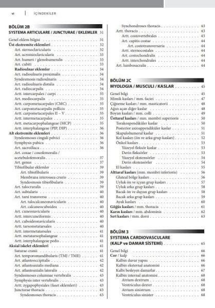 Çekirdek Eğitim Programı Çerçevesinde Temel İnsan Anatomisi 2.Baskı