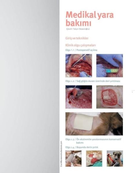 Deri Cerrahisinde KLİNİK OLGULAR