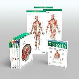 Sobotta Atlas Of Anatomy, 4 Volume Set 17th Ed.
