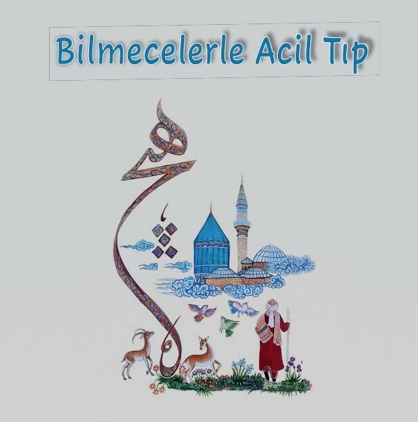 Bilmecelerle Acil Tıp