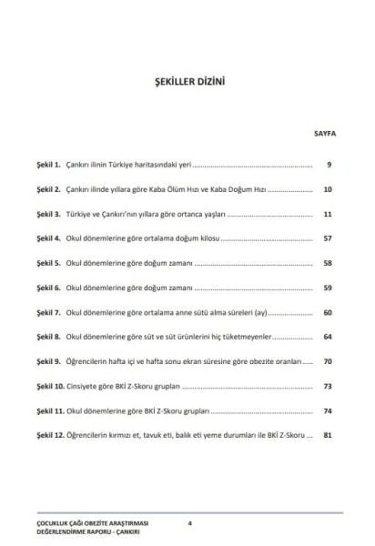 Çocukluk Çağı Şişmanlık Araştırması