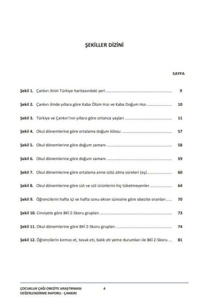 Çocukluk Çağı Şişmanlık Araştırması