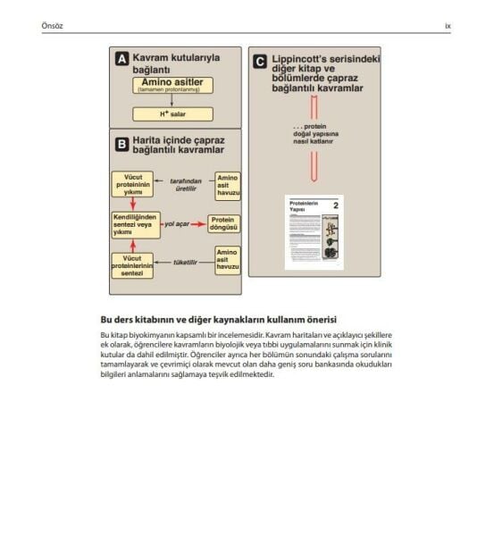Lippincott Biyokimya: Görsel Anlatımlı Çalışma Kitapları