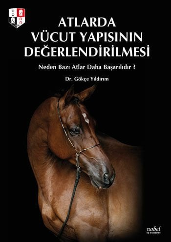 Atlarda Vücut Yapısının Değerlendirilmesi: Neden Bazı Atlar Daha Başarılıdır?