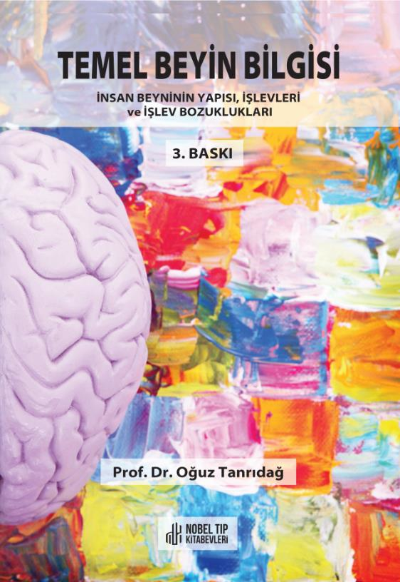 Temel Beyin Bilgisi: İnsan Beyninin Yapısı, İşlevleri ve İşlev Bozukluğu