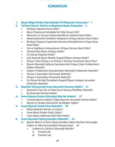 Temel Beyin Bilgisi: İnsan Beyninin Yapısı, İşlevleri ve İşlev Bozukluğu