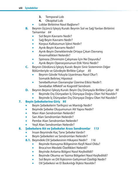 Temel Beyin Bilgisi: İnsan Beyninin Yapısı, İşlevleri ve İşlev Bozukluğu