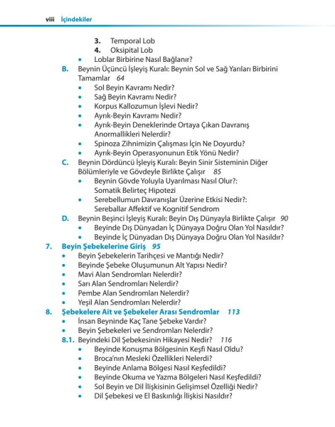 Temel Beyin Bilgisi: İnsan Beyninin Yapısı, İşlevleri ve İşlev Bozukluğu