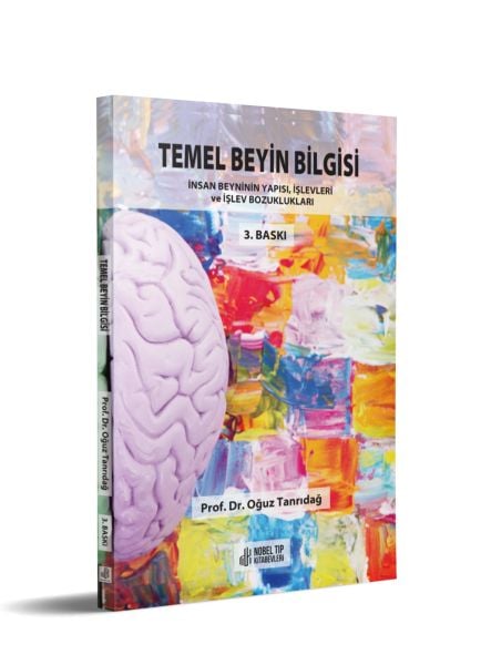 Temel Beyin Bilgisi: İnsan Beyninin Yapısı, İşlevleri ve İşlev Bozukluğu