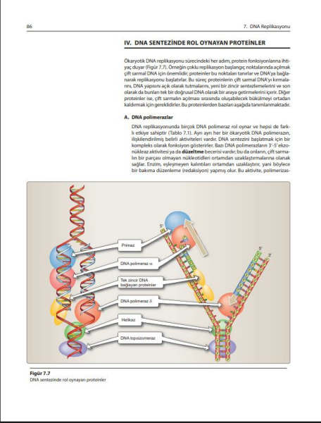 Lippincott Hücre ve Moleküler Biyoloji