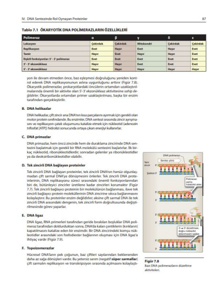 Lippincott Hücre ve Moleküler Biyoloji
