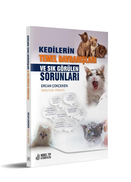 Kedilerin Temel Davranışları ve Sık Görülen Sorunlar