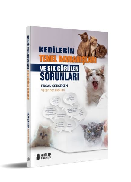 Kedilerin Temel Davranışları ve Sık Görülen Sorunlar