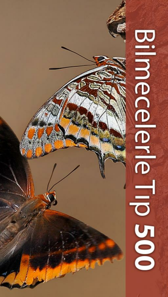 Bilmecelerle Tıp 500