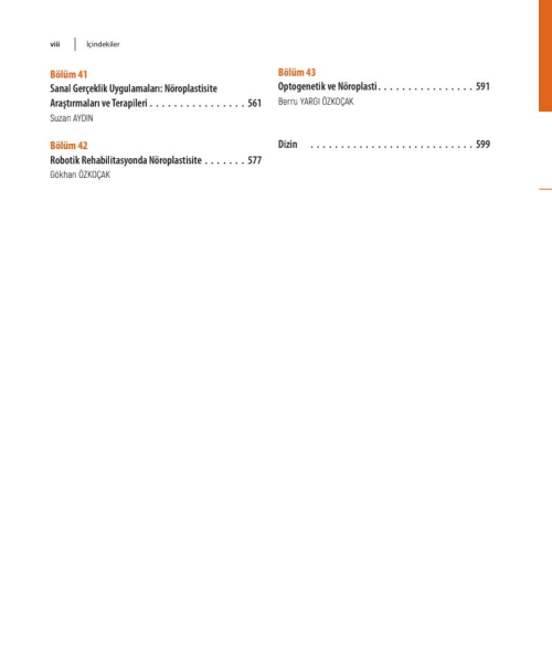 Beynin Dönüşümü: Nöroplastisite Üzerine Disiplinlerarası Bir Yolculuk