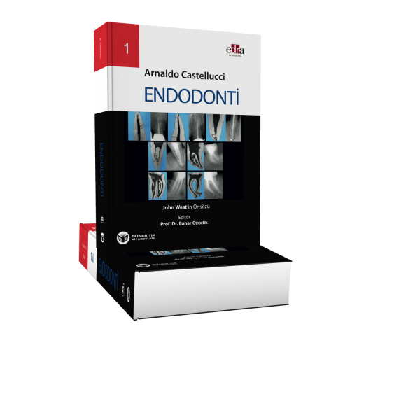 Muhteşem Endodonti Seti