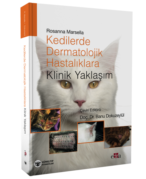 Kedilerde Dermatolojik Hastalıklara Klinik Yaklaşım