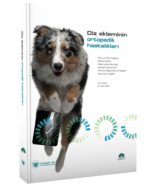 Diz Ekleminin Ortopedik Hastalıkları