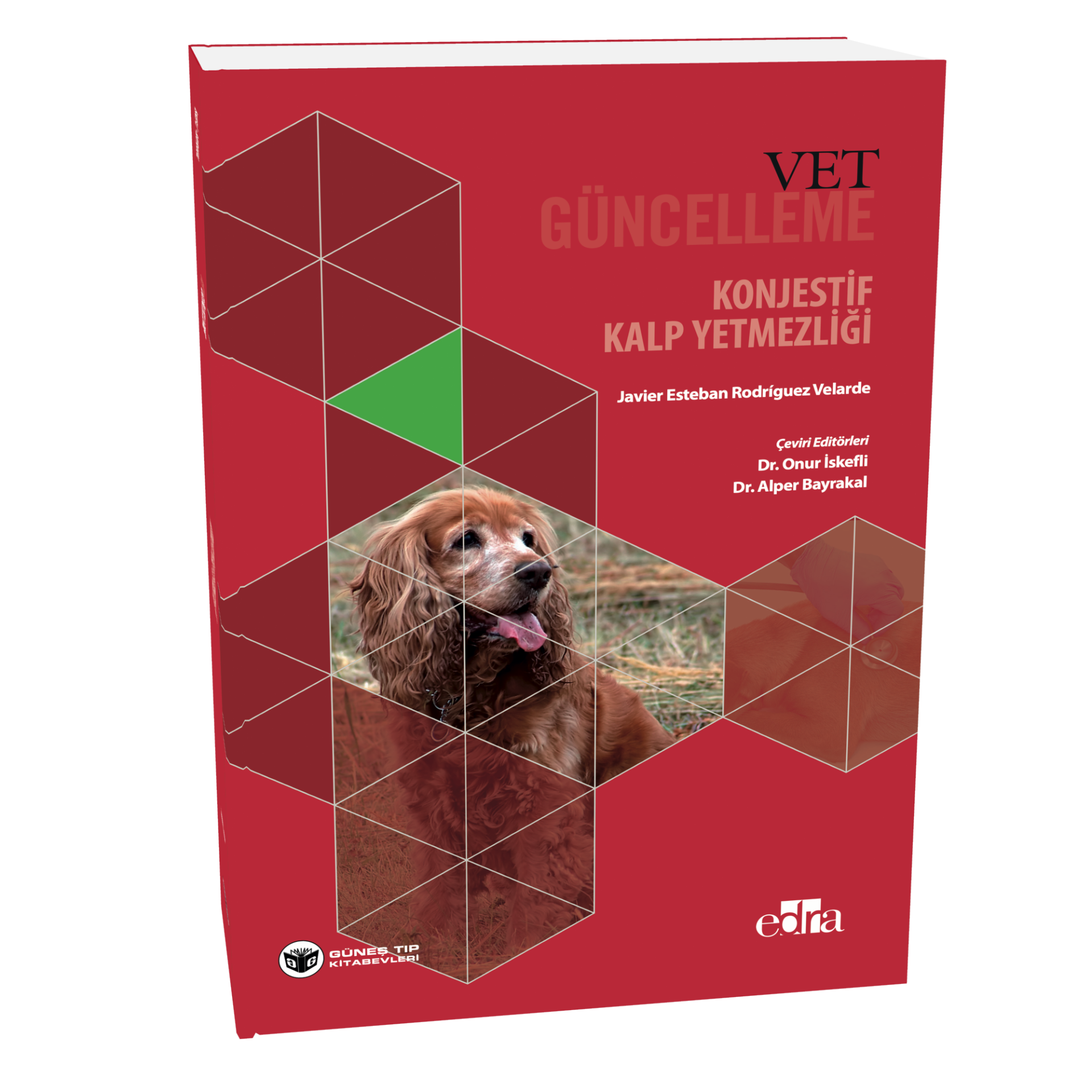 Konjestif Kalp Yetmezliği