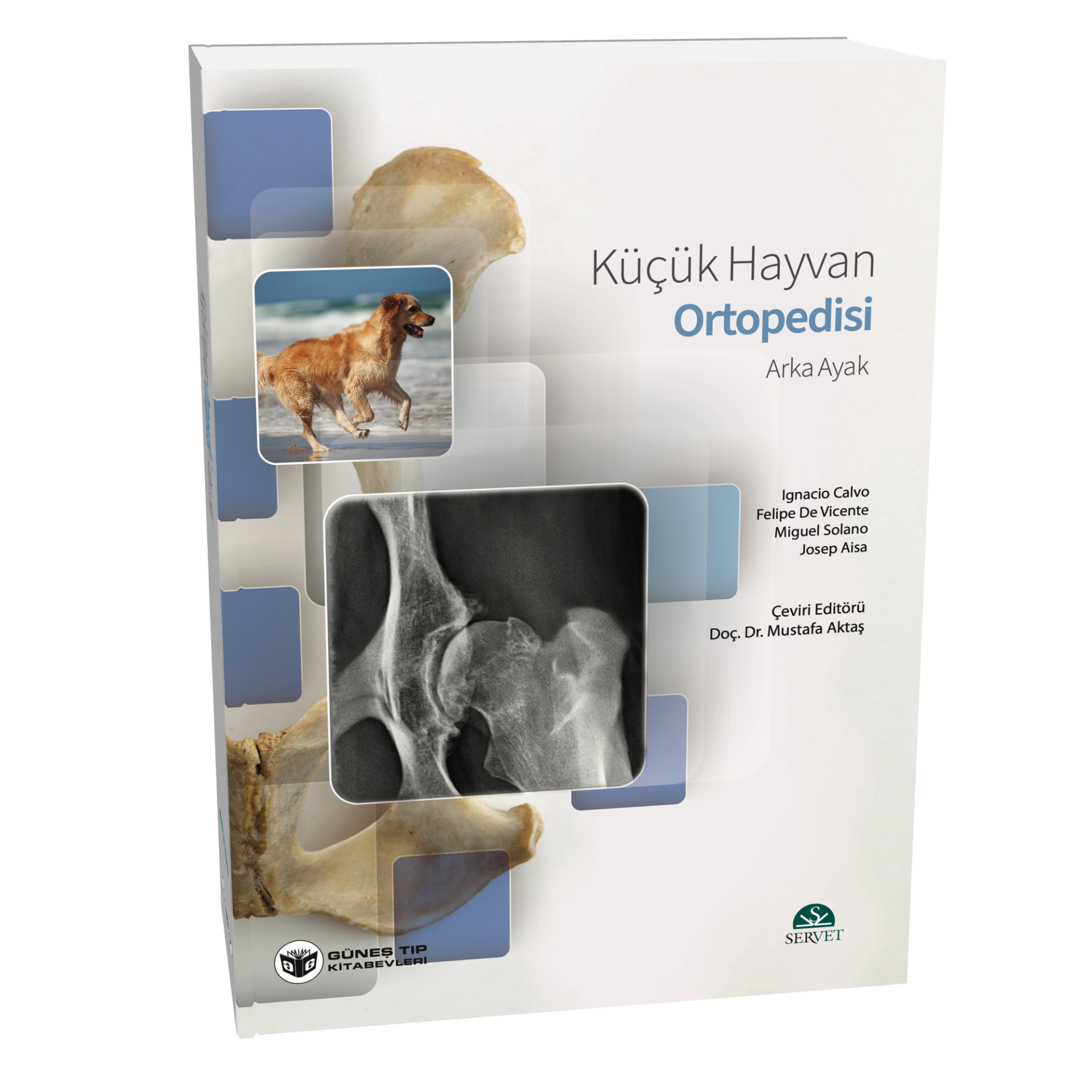 Küçük Hayvan Ortopedisi Arka Ayak