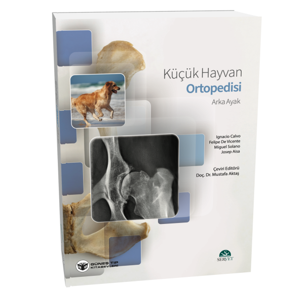 Küçük Hayvan Ortopedisi Arka Ayak