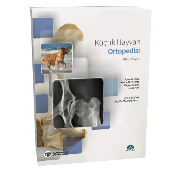 Küçük Hayvan Ortopedisi Arka Ayak