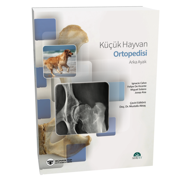 Küçük Hayvan Ortopedisi Arka Ayak