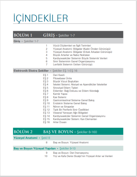 Netter İnsan Anatomisi Atlası
