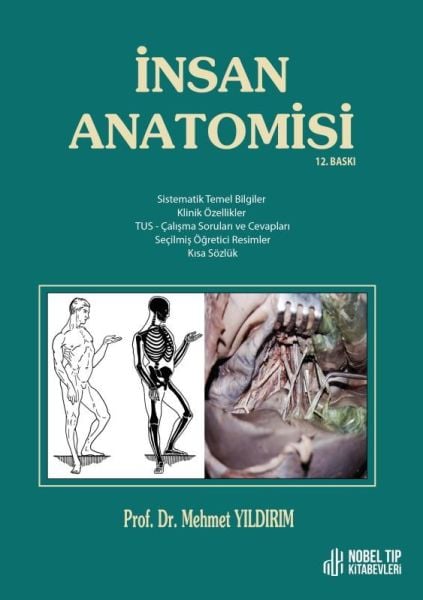 İnsan Anatomisi / Yıldırım ( 12. Baskı )