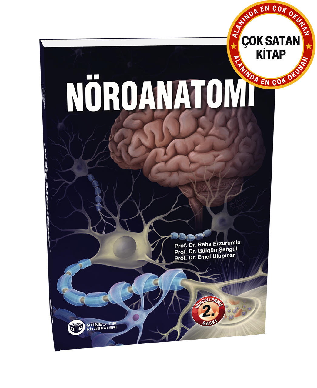 Nöroanatomi (Güncellenmiş 2. Baskı)
