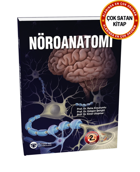 Nöroanatomi (Güncellenmiş 2. Baskı)