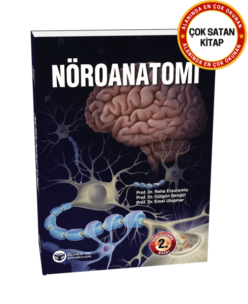 Nöroanatomi (Güncellenmiş 2. Baskı)