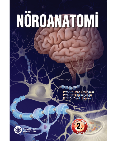 Nöroanatomi (Güncellenmiş 2. Baskı)