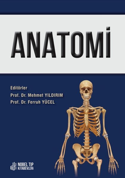 Anatomi