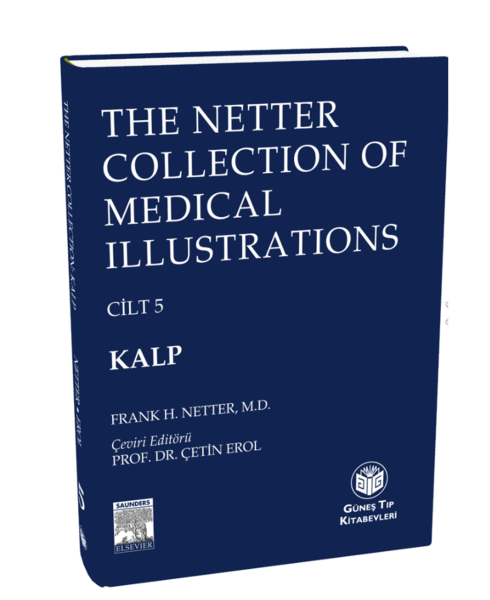 The Netter Collection of Medical Illustrations Kalp (CİLTLİ)