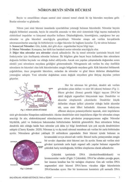 Baş, Ağrıları, Migren Bütüncül Tanı ve Tedavi