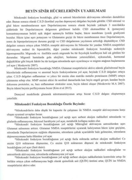 Baş, Ağrıları, Migren Bütüncül Tanı ve Tedavi