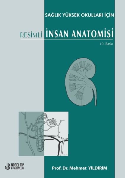Sağlık Yüksek Okulları için Resimli İnsan Anatomisi 11. Baskı
