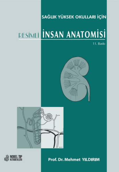 Sağlık Yüksek Okulları için Resimli İnsan Anatomisi 11. Baskı
