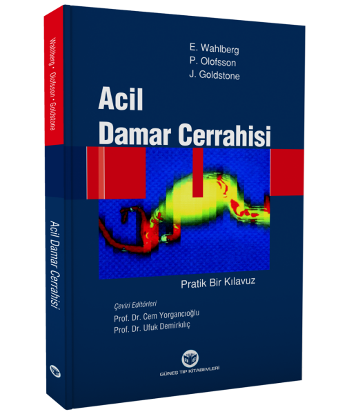 Acil Damar Cerrahisi Pratik Bir Kılavuz