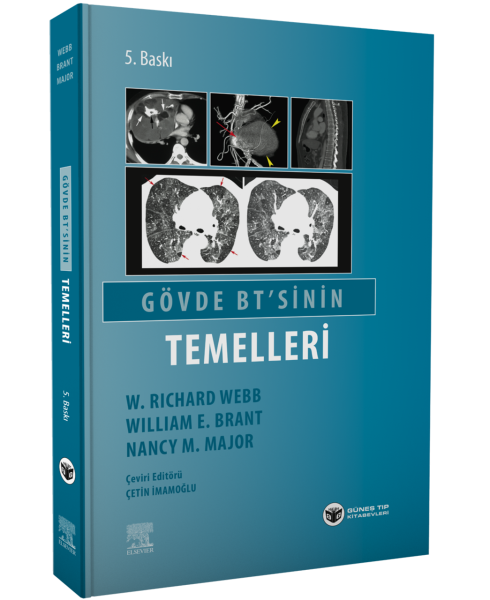 Gövde BT 'sinin Temelleri