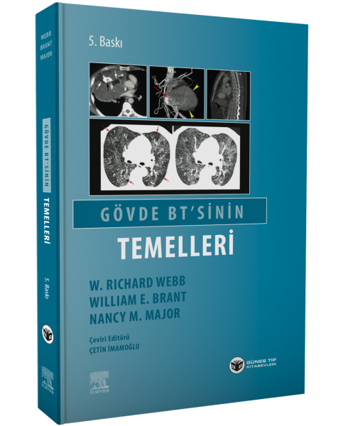 Gövde BT 'sinin Temelleri